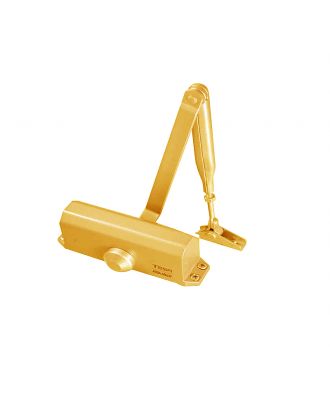 CT500 Door Closer 60 Kg Glod