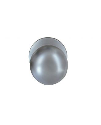 Silver Door Knob