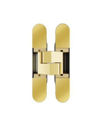 Concealed hinge for internal doors, 40kg x 2 hinges, 180°opening, brass