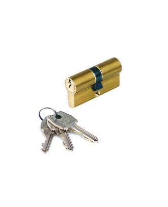 AGB Euro profiled Cylinder 54mm 27-27, 3 profiled keys, Polished Brass