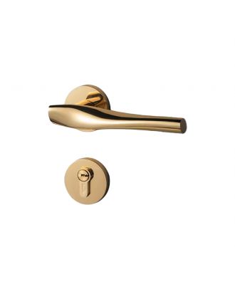 WELDER Modern Luxury interior door handle Gold