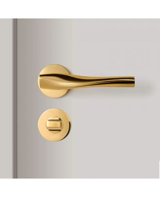 WELDER Modern Luxury bathroom door handle Gold