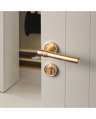 WELDER new Luxury Interior door handle Gold