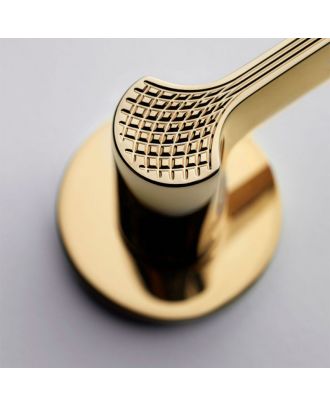 Ginkgo Biloba Door Handle - Bright Gold