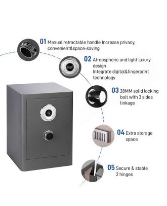 Biometric Retractable Handle Burglary Safe