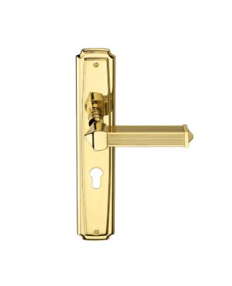 Deluxe Door Handle PEGASO With Plate, Polished Brass