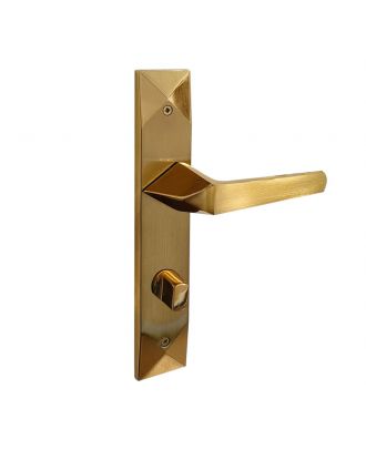 JEWEL Bathroom door handle with long plate, Golden