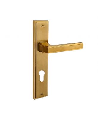 STEP door handle with long plate, Golden