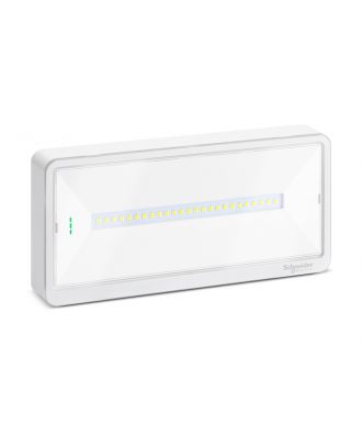 Schneider - Emergency luminaire, Exiway Light, Standard, selectable duration, 110lm, IP42, white