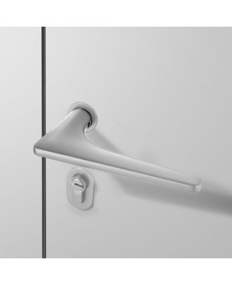 WELDER - Modern Door Handle with simple rosettes, Satin Nickel