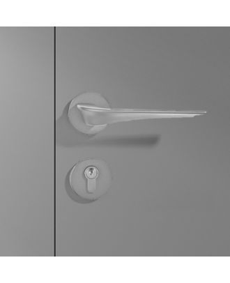 WELDER - Wing bird Luxury Door Handle with round rosettes, Satin Nickel