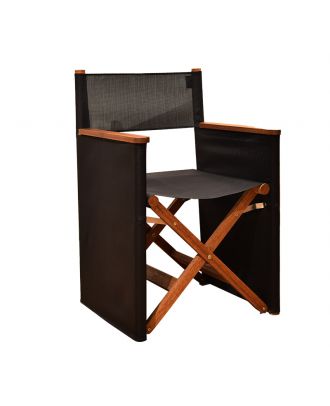 Director's chair