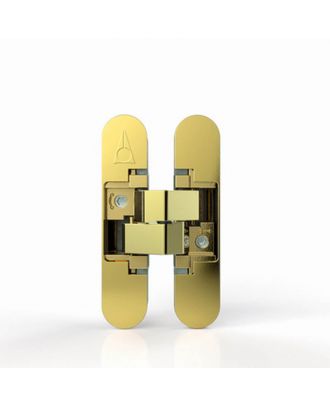 Concealed Door Hinge 2Hinges 60Kg-3Hinges 80Kg, Gold