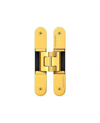 Concealed Door Hinge 120Kg with 3D adjustment feature, polished Brassed