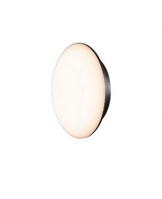 Outdoor Dark Gray Led Wall&Ceiling Light