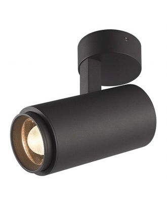 Outdoor Spotlight Light