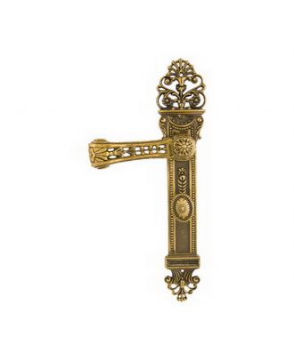 Bathroom Door Handle