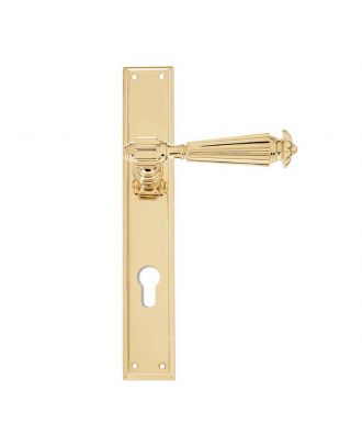 Door Handle With Plate -Polished Brass