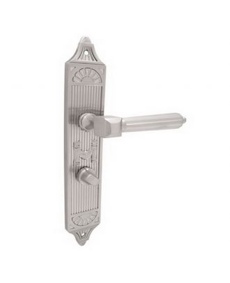 Silver Handle With Plate With Wc Lock