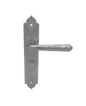 Silver Handle With Plate With Wc Lock