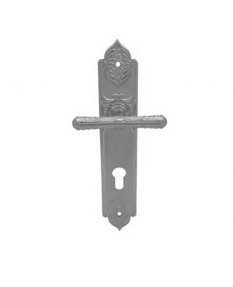 Silver Door Entrance Handle