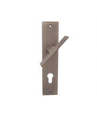 Zamak Door Handle
