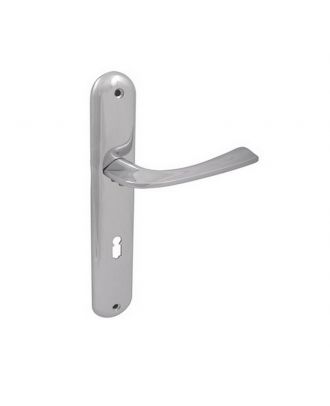 Chrome Handle With Plate