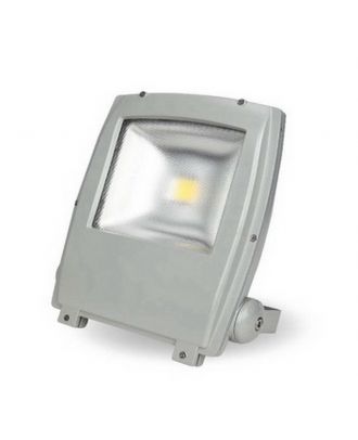 Led Flood Light 50 W