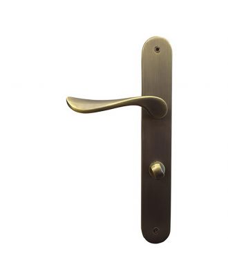 Door Handle With Wc