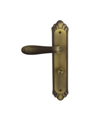 Door Handle With Wc