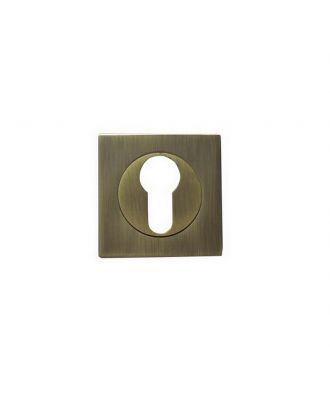 Square Escutcheon Cylinder Hole