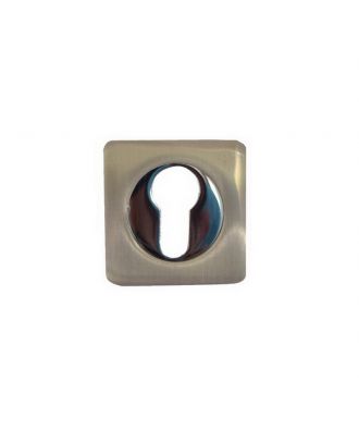 Escutcheon Cylinder Hole