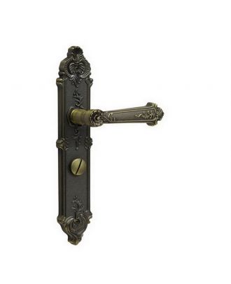 Door Handle With Wc Escutcheon