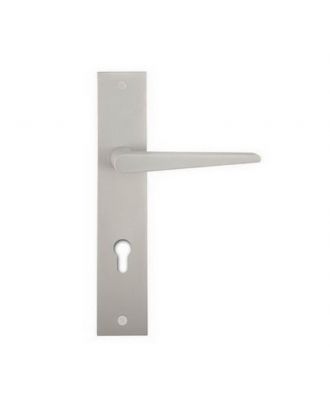 Entrance Handle On Backplate