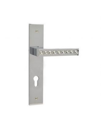 Entrance Handle On Backplate