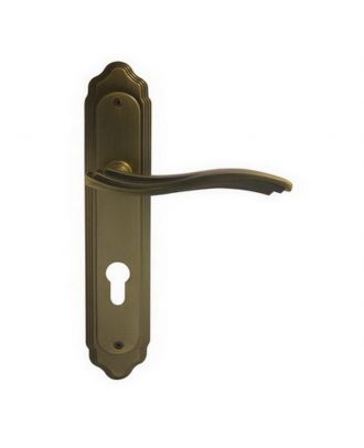 Entrance Handle On Back Plate