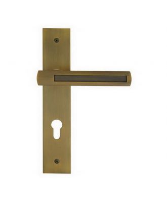 Entrance Handle On Backplate