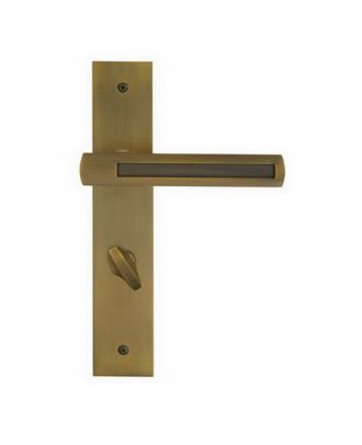 Bathroom Handle On Backplate With Lock
