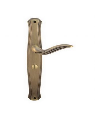 Bathroom Handle On Backplate With Lock