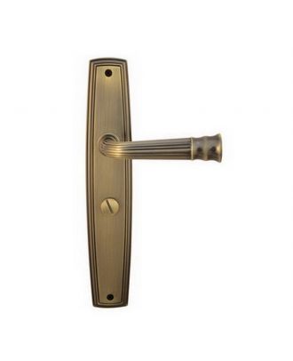 Bathroom Handle On Backplate With Lock