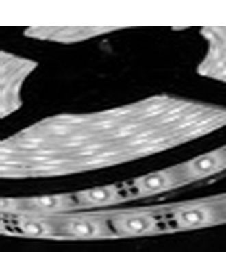 White Led Strip 5050