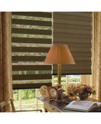 Zebra Blind Brown W 200 X L 250 Cm