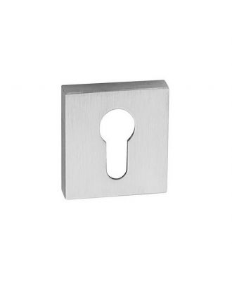 Escutcheon Cylinder Cut