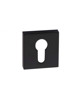 Escutcheon Cylinder Cut
