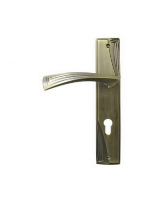 Entrance Handle With Cylinder Hole