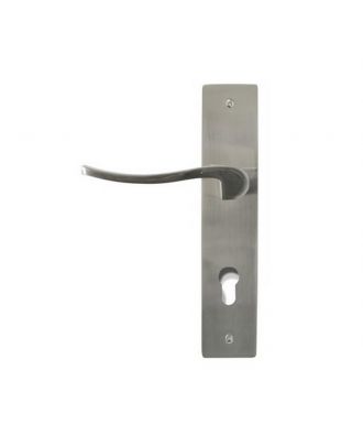Entrance Handle With Cylinder Hole