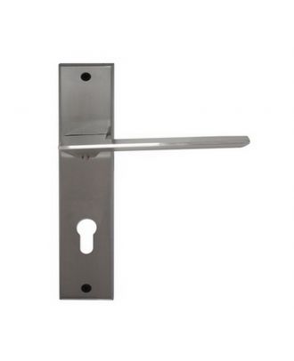 Entrance Handle On Backplate