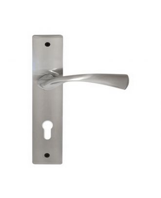Entrance Handle On Back-Plate