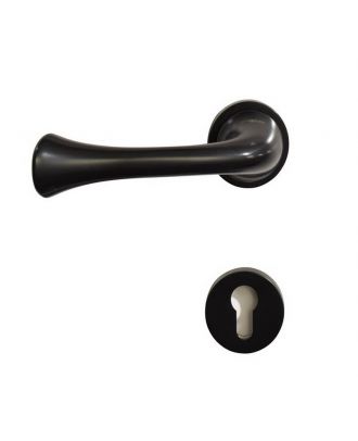 Entrance Lever Handle With Cylinder Hole