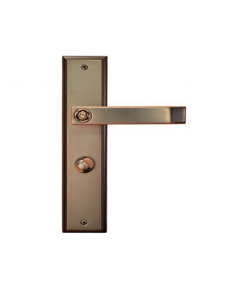 Entrance Lever Handle With Thumb Turn